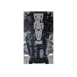 6MM ALUMINIUM CARTER & DIFF PROTECTION 2023-