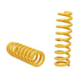 MOLAS KING GR +2" TRAS