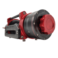 RED WINCHES HAWK