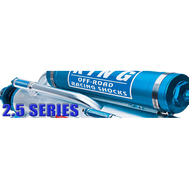 PERFORMANCE SERIES 2.5